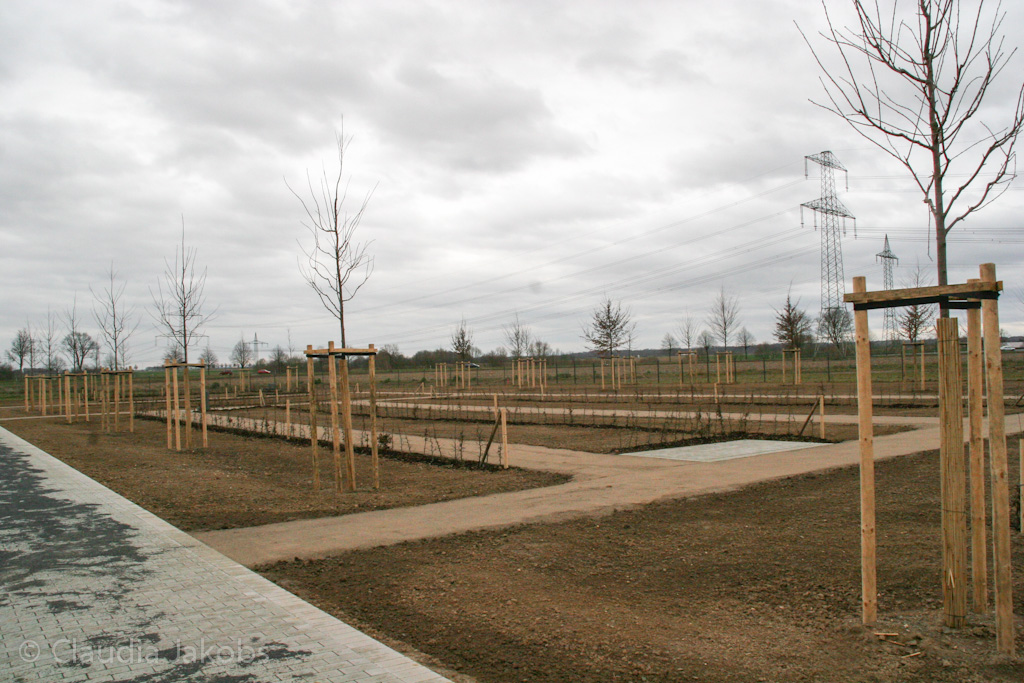 140220155811 IMG 6558