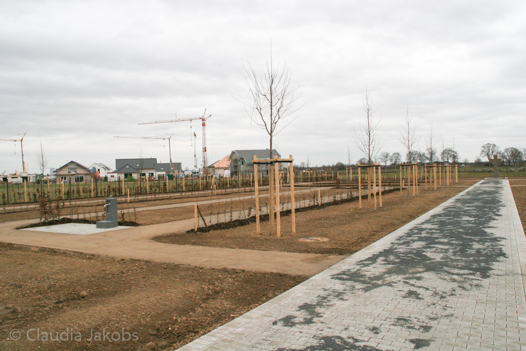 140220155824 IMG 6559