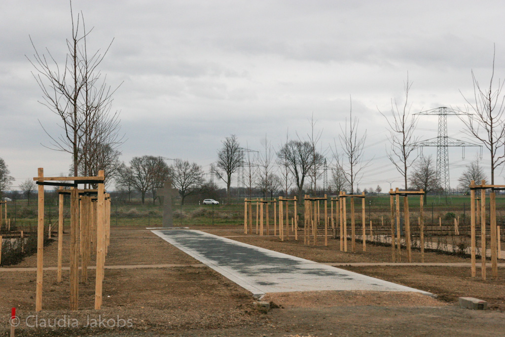 140220163710 IMG 6607