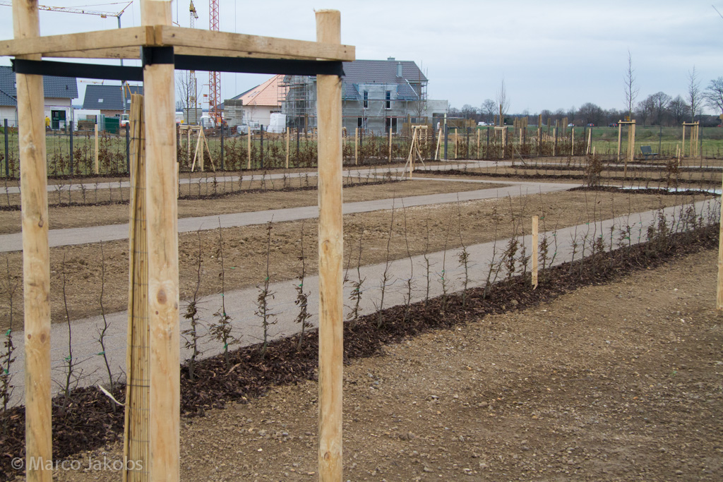 140220163804 MJ  0824