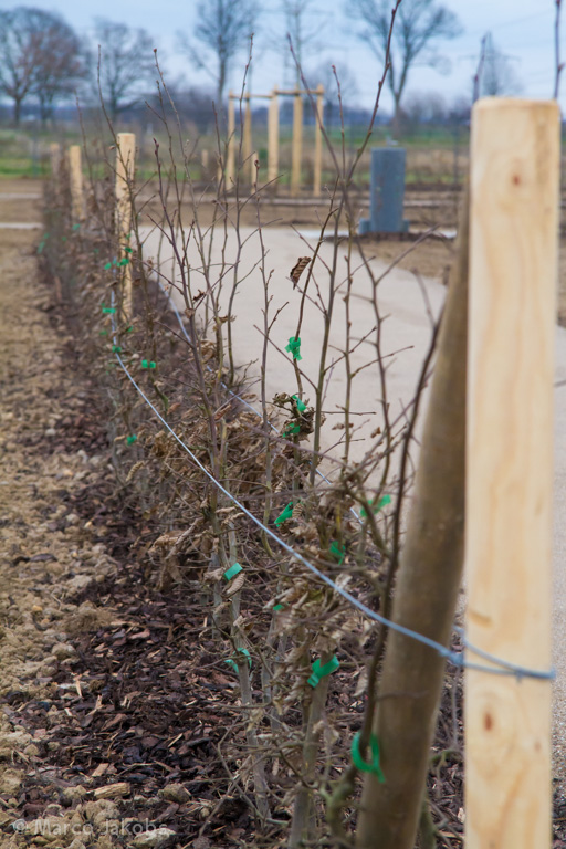 140220163838 MJ  0826