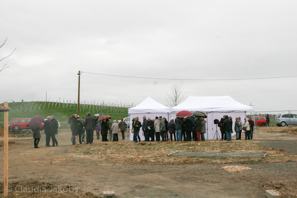 140220164055 IMG 6613