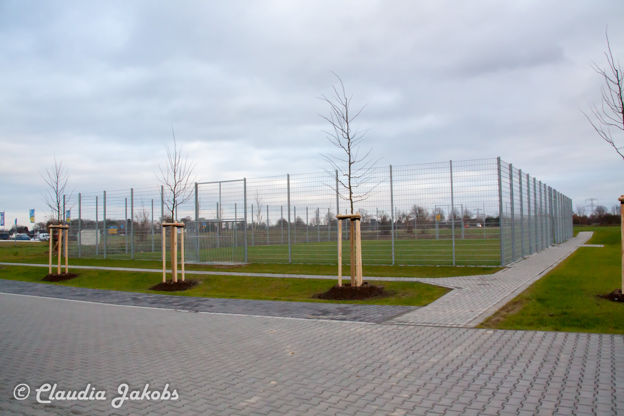 20171209152828 IMG 9878