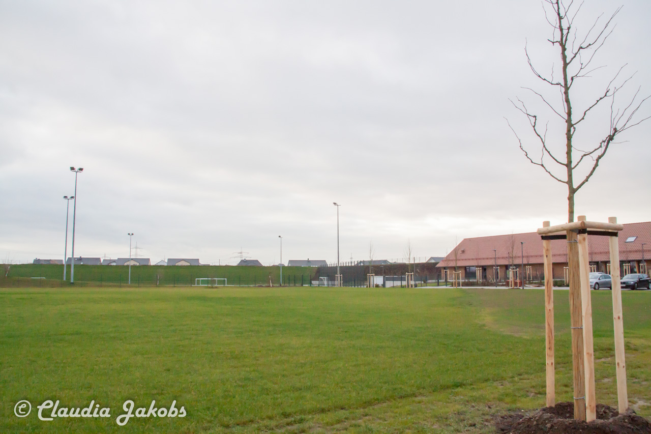 20171209152837 IMG 9879