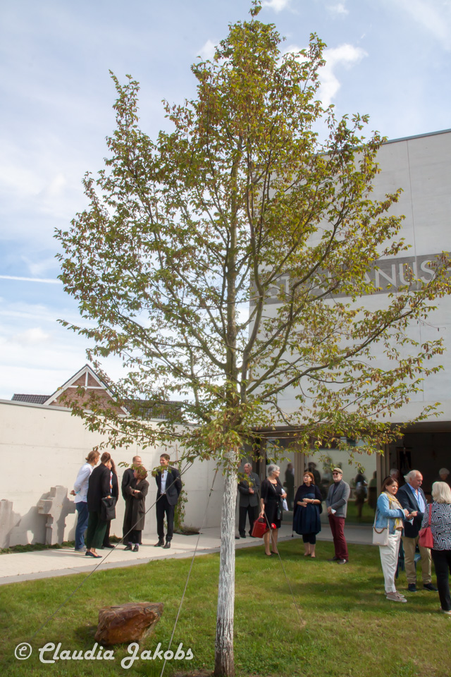 20210912122407 IMG 9822