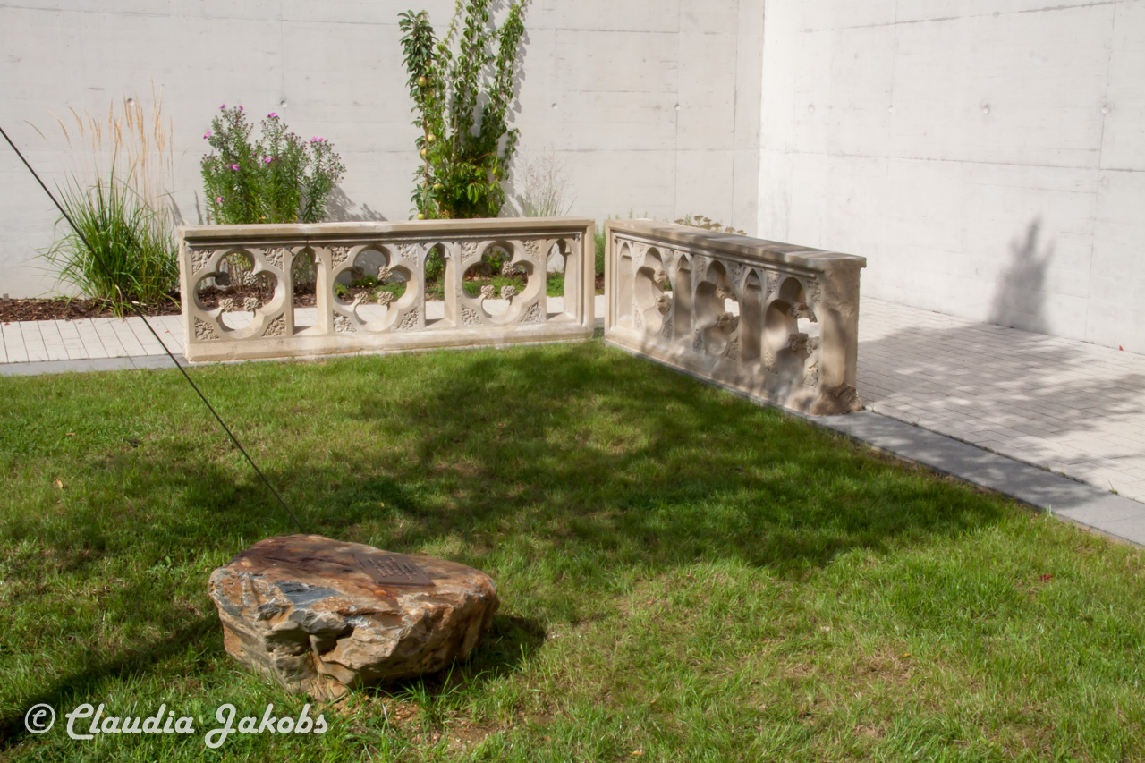 20210912123733 IMG 9831