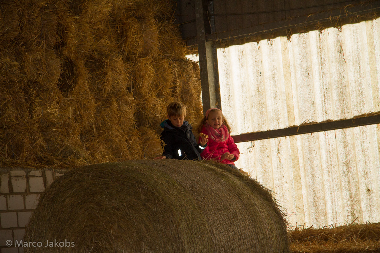 20160320160457 MJ  4277