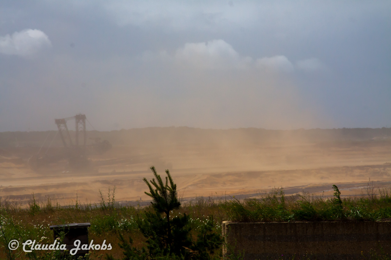 20170607124350 IMG 7458