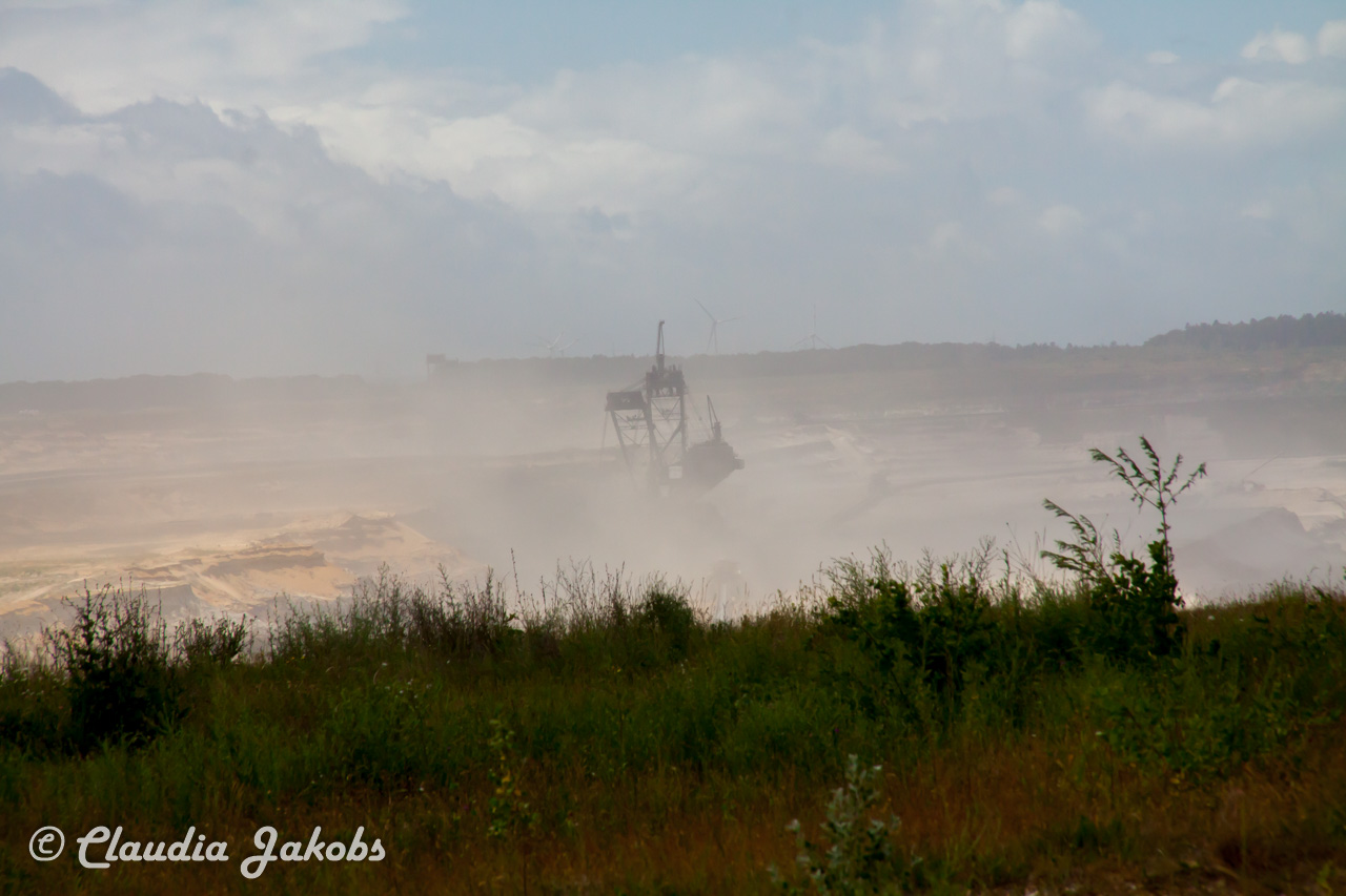 20170607124403 IMG 7461