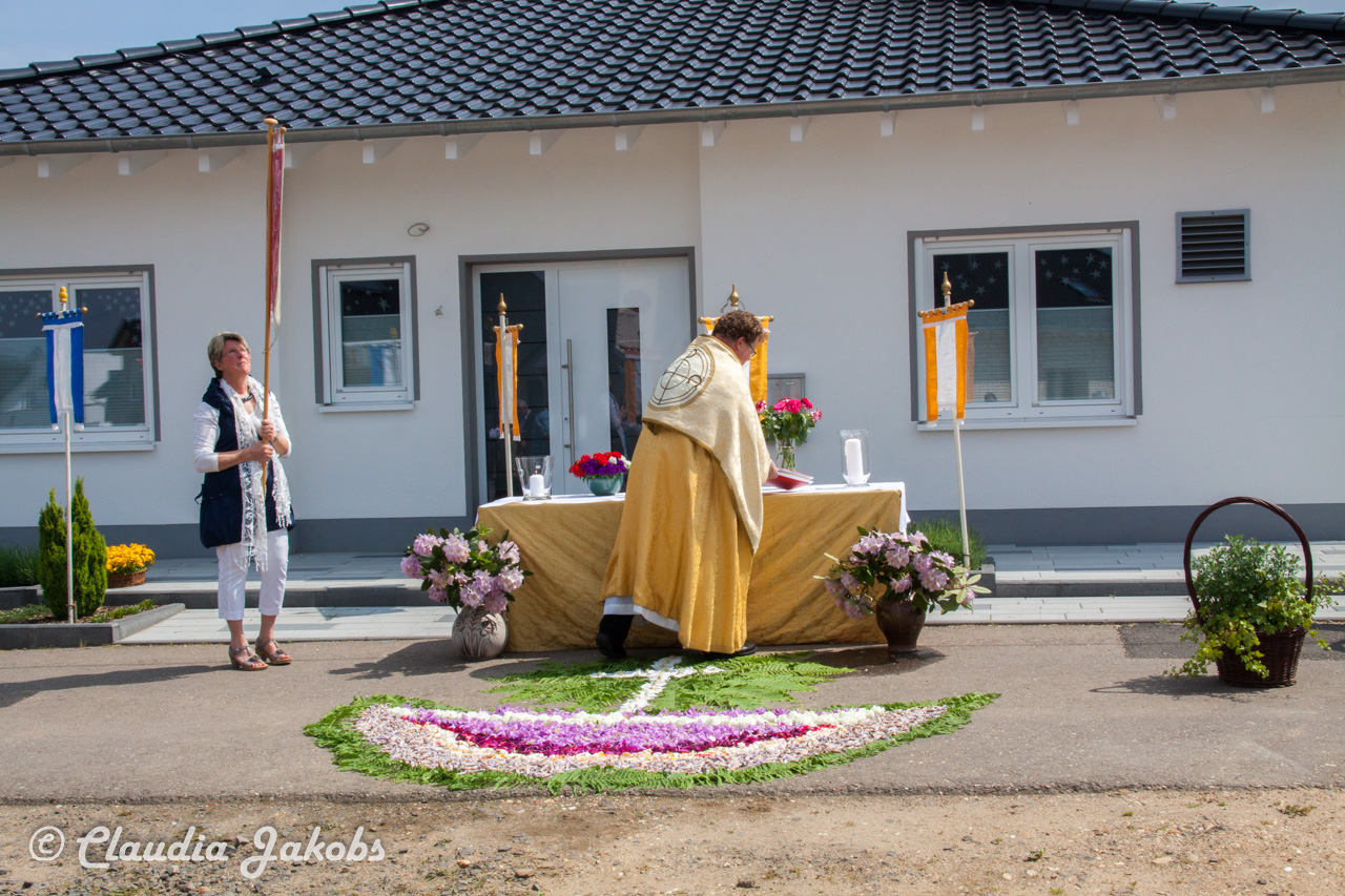 20160526140340 IMG 0931