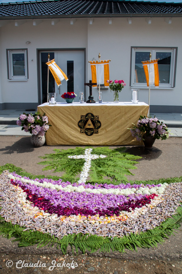 20160526141205 IMG 0939