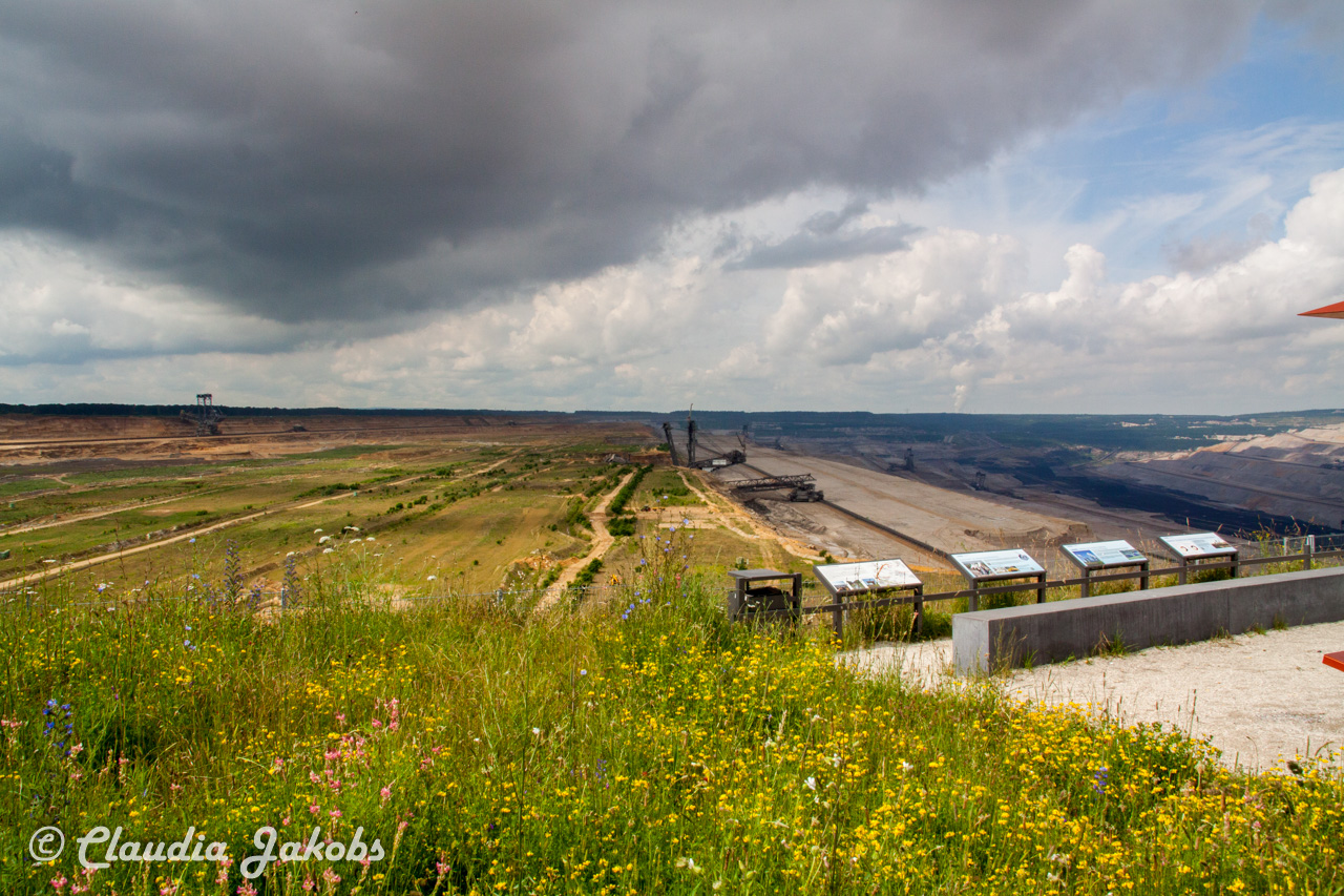 20160628101108 IMG 1305