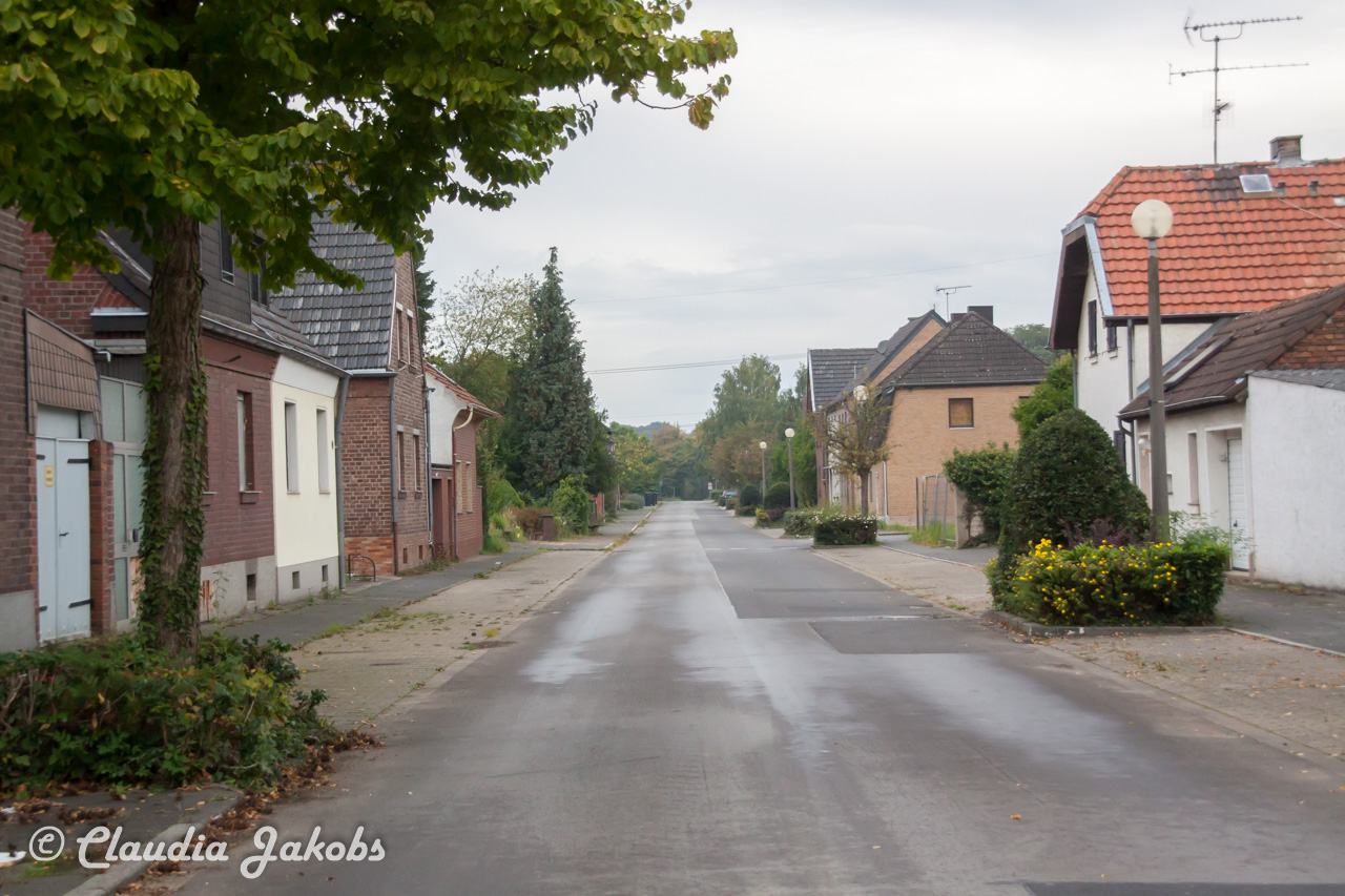 20170928092252 IMG 9439