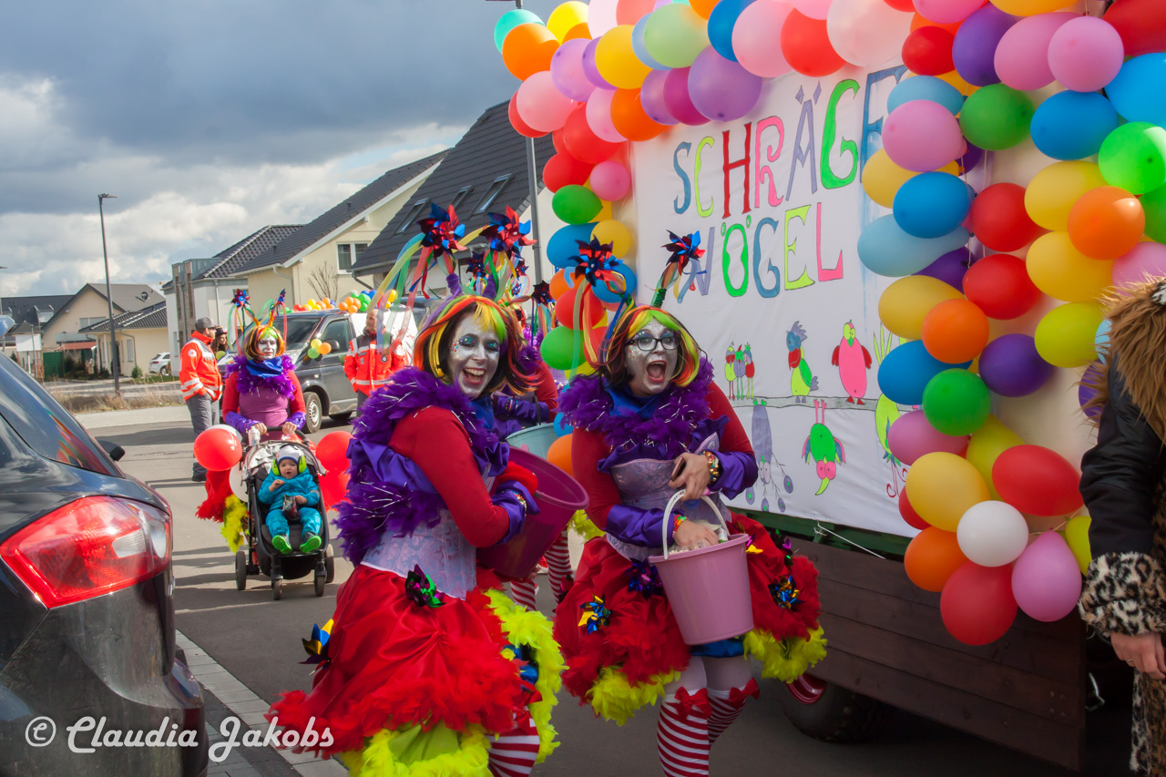 20190305150220 IMG 3888