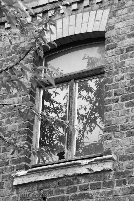 120701110806 IMG 2929