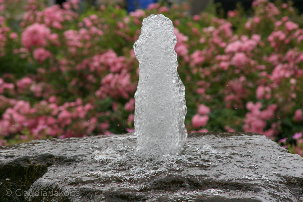 120701111907 IMG 2945