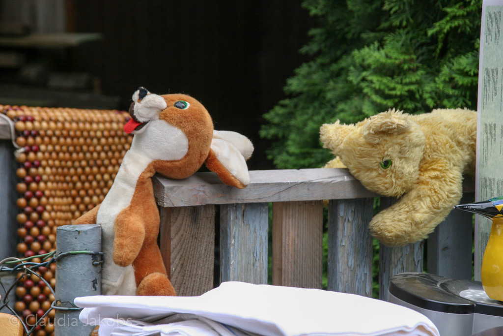 120701122502 IMG 2967