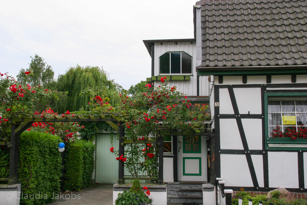 120701123451 IMG 2978