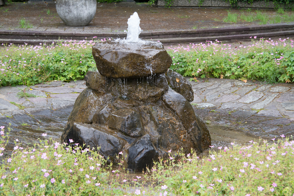 120701131552 IMG 8535