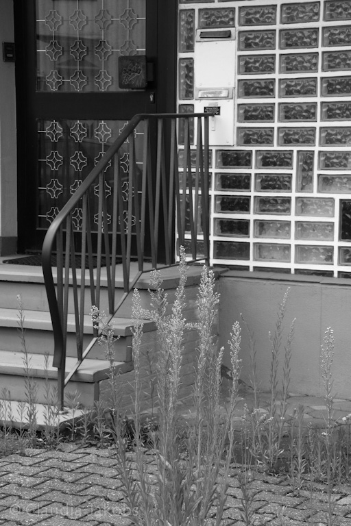 120701144000 IMG 3023