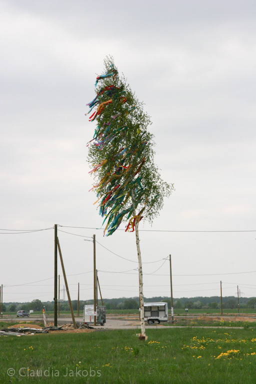 130501153728 IMG 5809