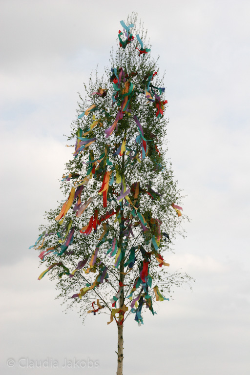 130501153956 IMG 5816