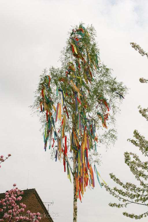 130501172143 IMG 5824