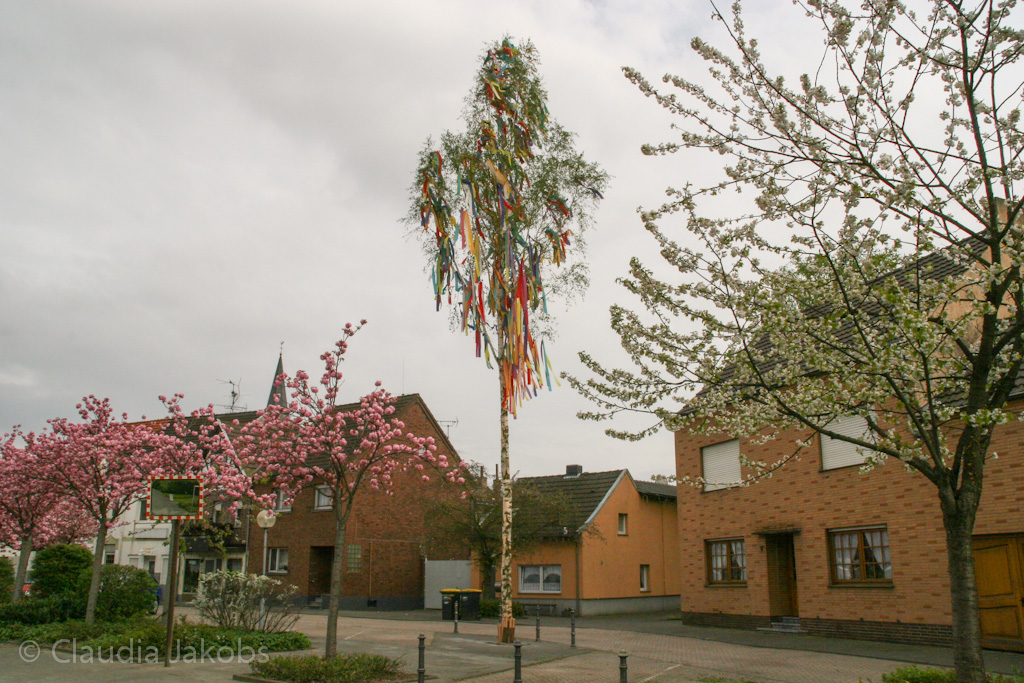 130501172200 IMG 5826