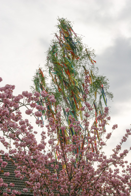 130501172244 IMG 5828