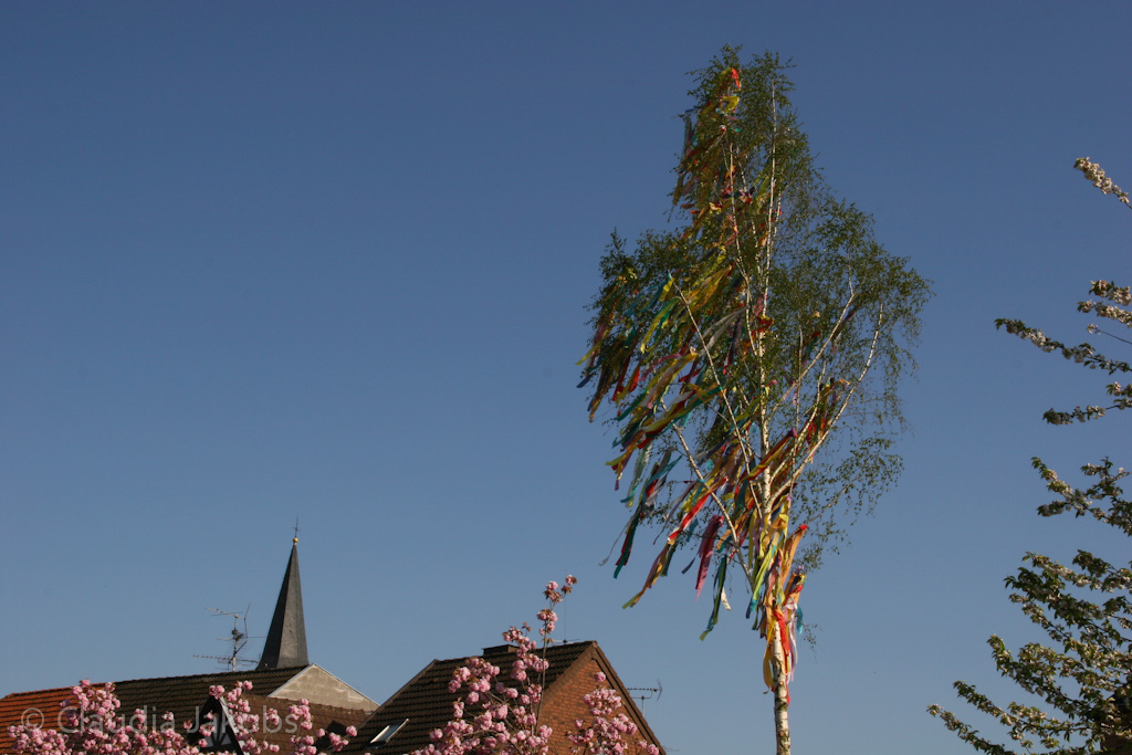 130504170325 IMG 5869