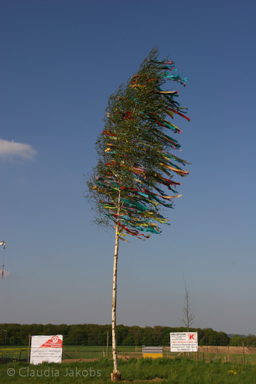 130504171310 IMG 5874