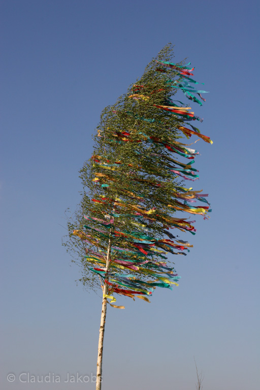 130504171314 IMG 5875