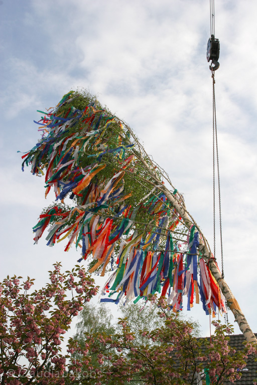 120430191355 IMG 2185