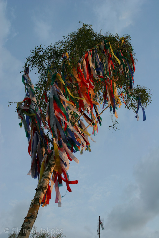 120430201347 IMG 2191