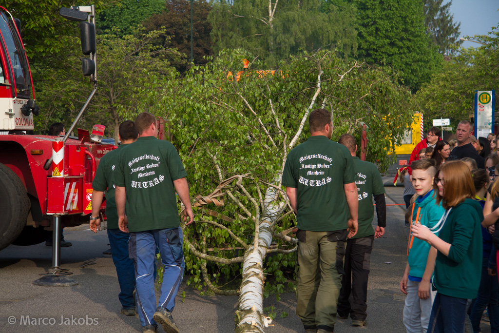 140430173221 MJ  1282