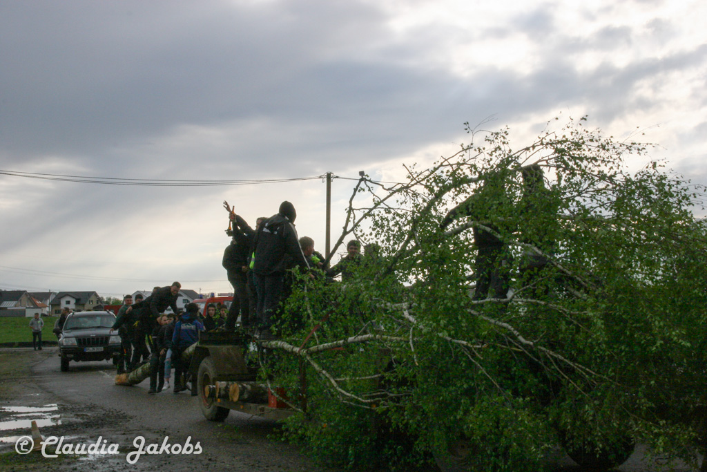 150430173358 IMG 8862