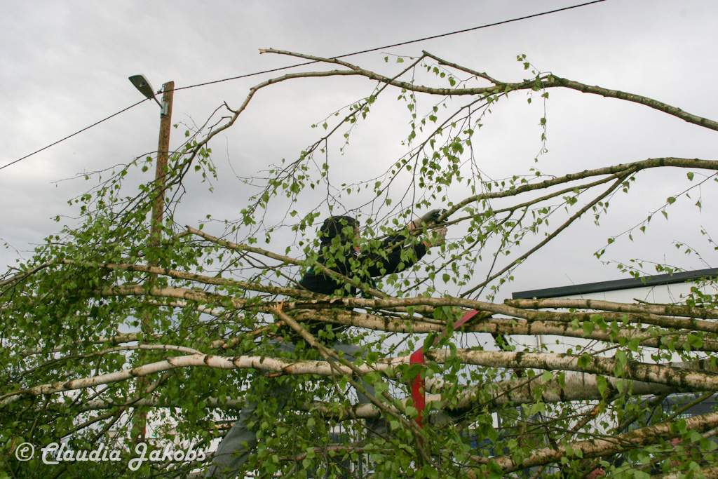 150430173647 IMG 8872