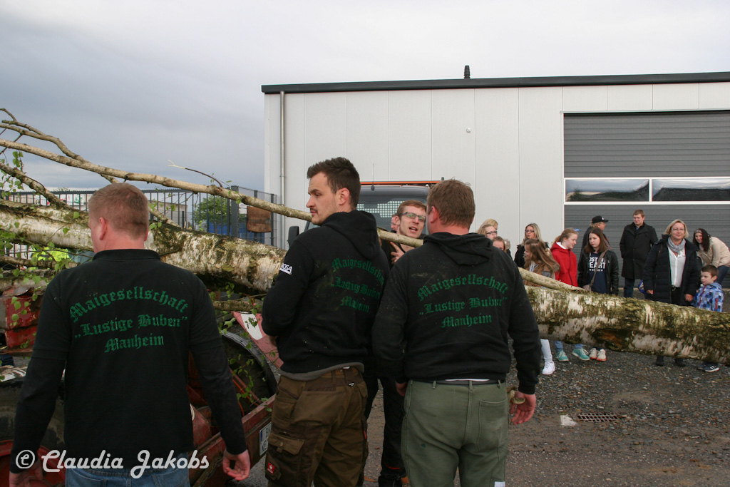 150430173919 IMG 8877