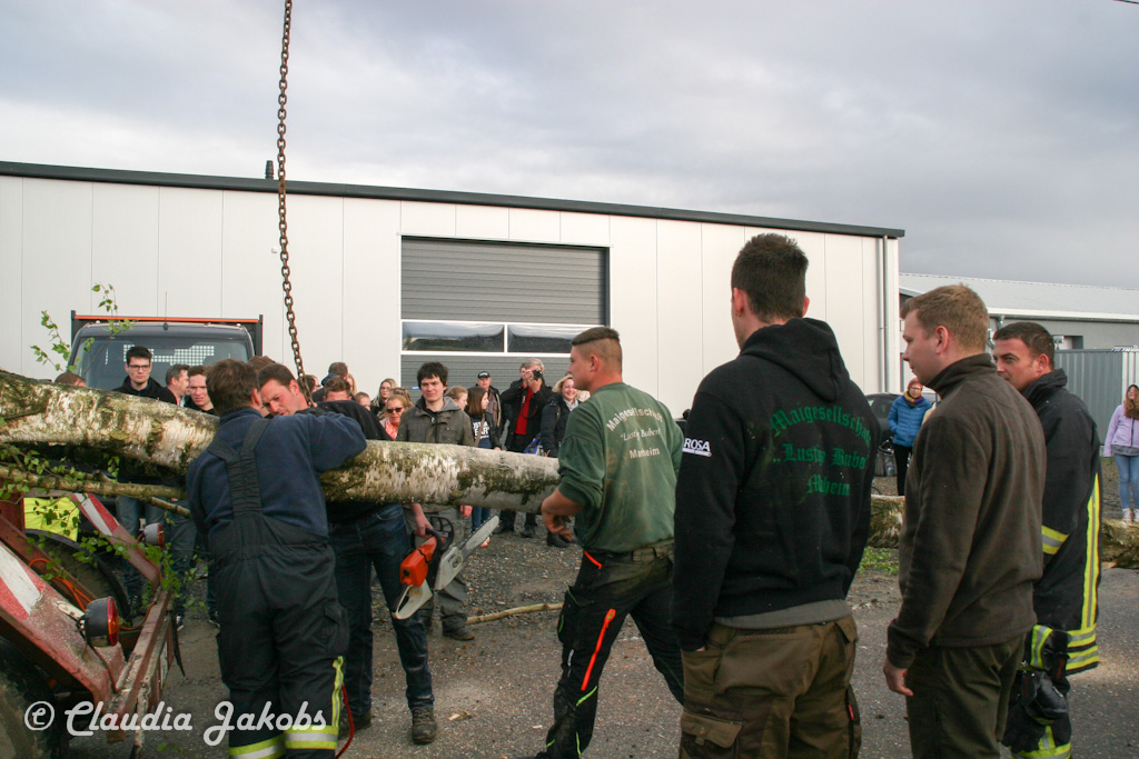 150430174334 IMG 8887