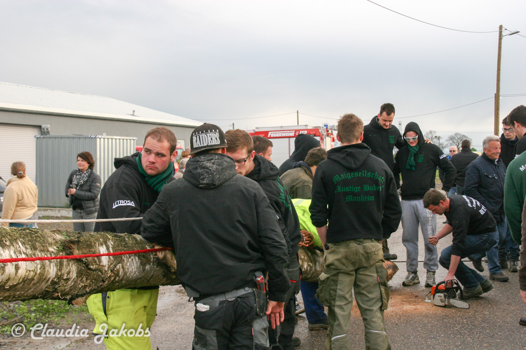 150430175055 IMG 8903