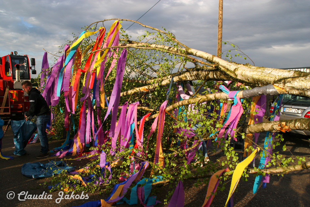 150430175240 IMG 8905