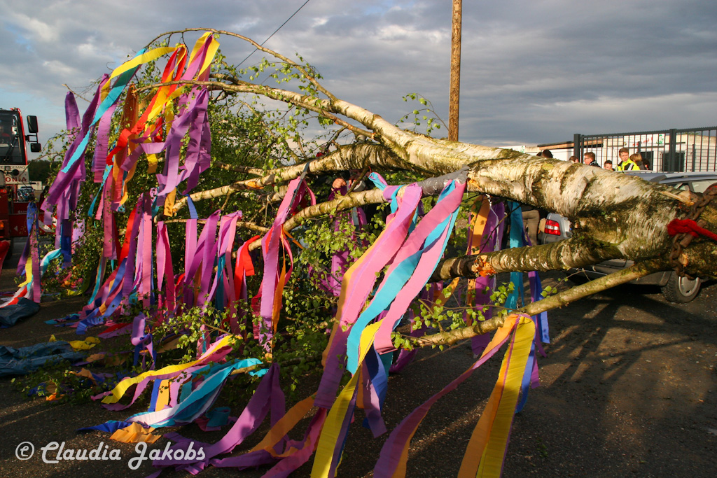 150430175551 IMG 8915