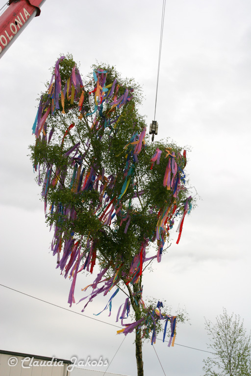 150430180618 IMG 8927