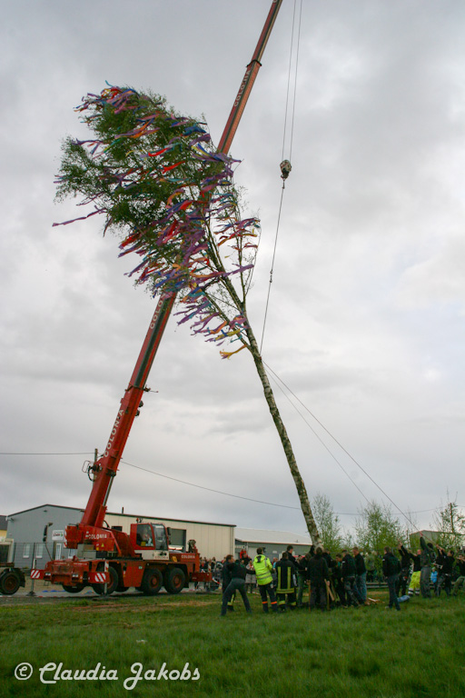 150430180756 IMG 8942