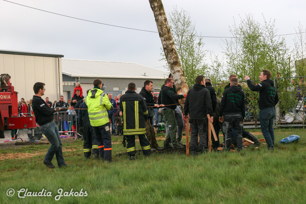 150430180805 IMG 8945