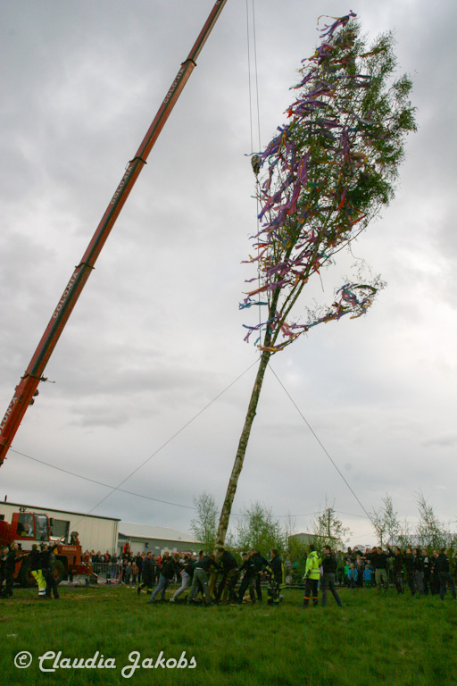 150430180827 IMG 8949