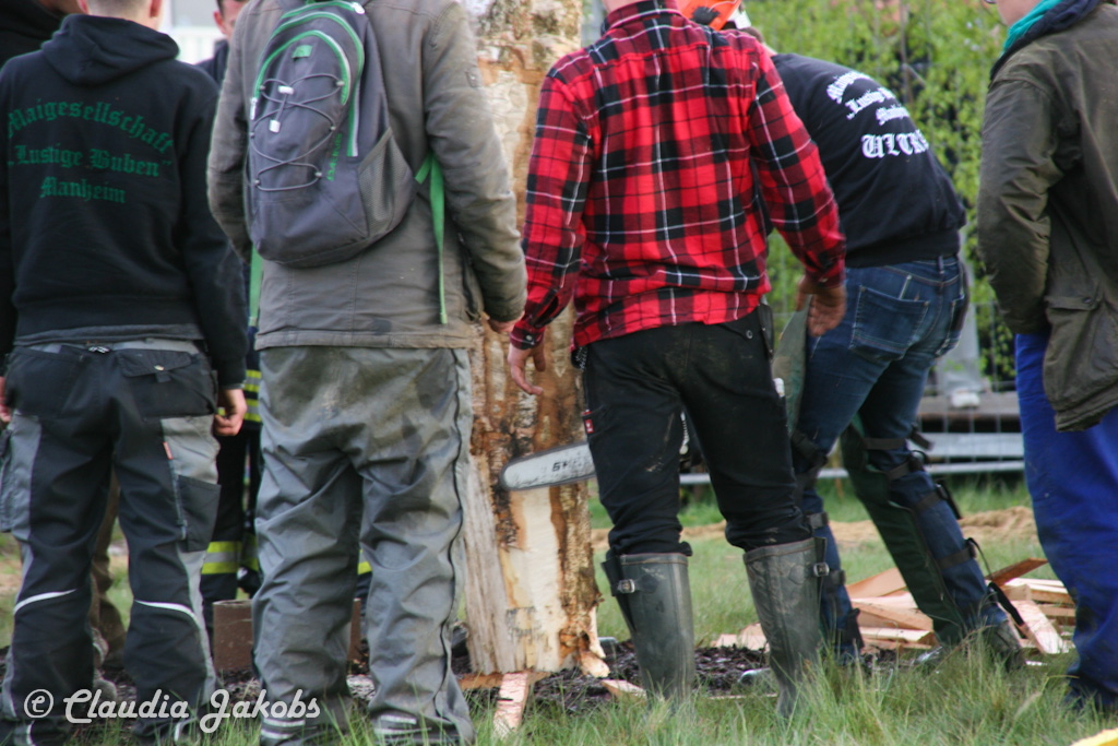 150430181051 IMG 8969