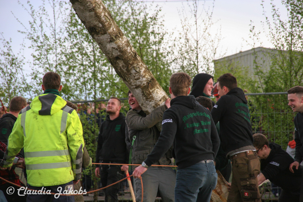 150430181253 IMG 8979