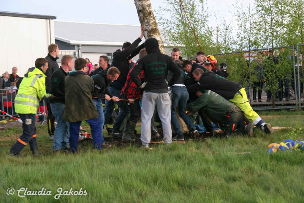 150430181332 IMG 8984