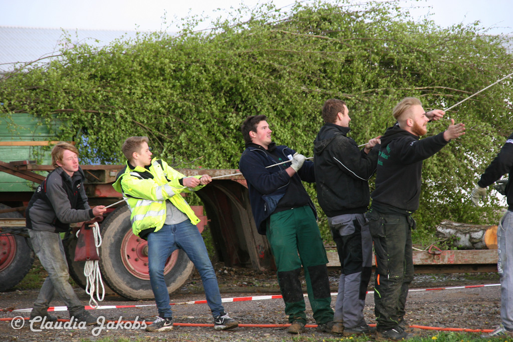 150430181504 IMG 8994